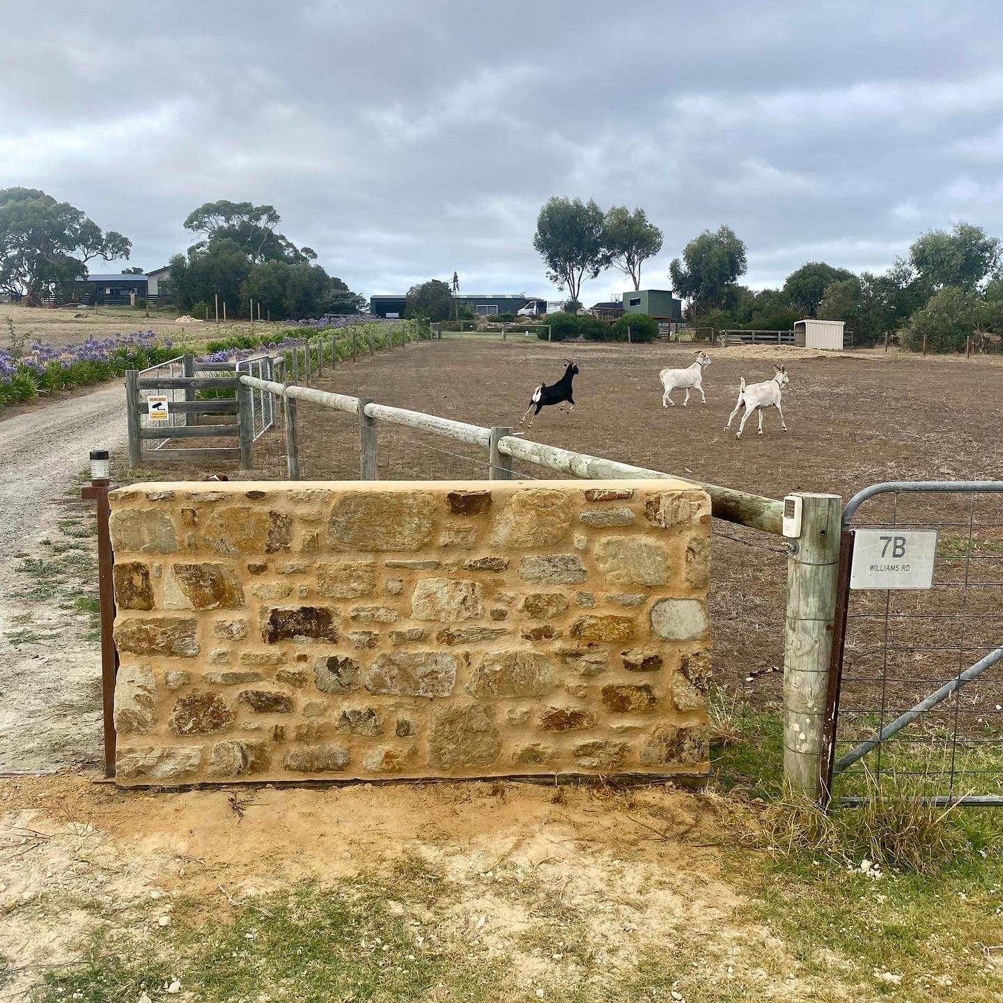 original-2F2B8359-345F-4AEA-B86D-3864DBC2417C